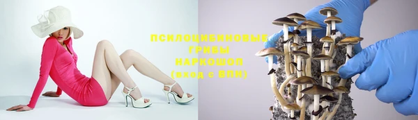 прущие грибы Алексеевка