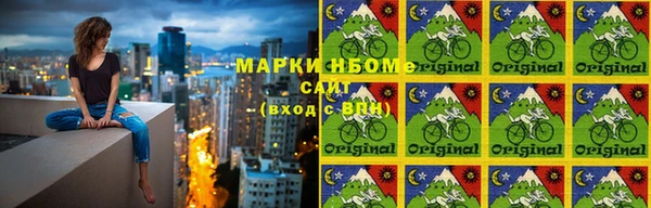 прущие грибы Алексеевка