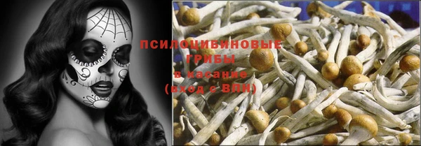 прущие грибы Алексеевка