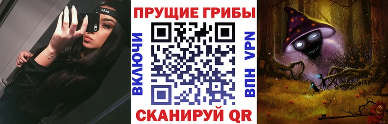 Псилоцибиновые грибы Psilocybe  Краснотурьинск 