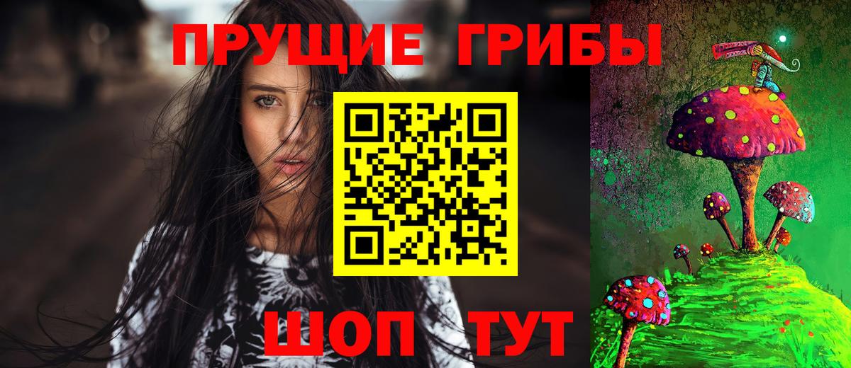 Псилоцибиновые грибы Psilocybine cubensis Краснотурьинск